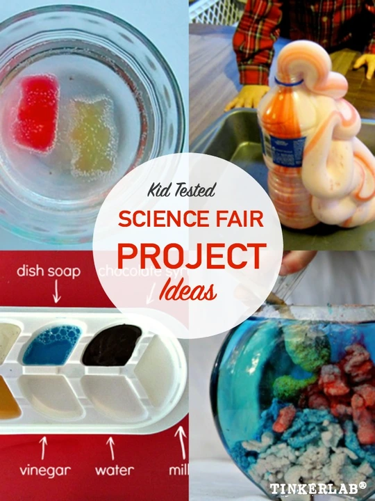 How to win a prestigious science fair?